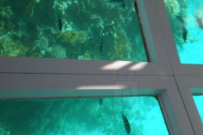 Glass Bottom Boat Water Activity in Montego Bay Jamaica - The Ride from Montego Bay: Air-Conditioned Comfort First