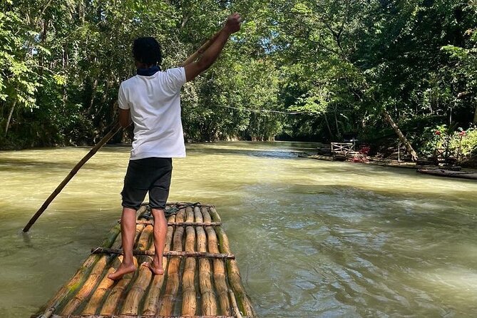 Great River Bamboo Rafting and Bird Sanctuary Combine Tour From Montego Bay - Rocklands Bird Sanctuary Meets a Short, Nature-First Plan