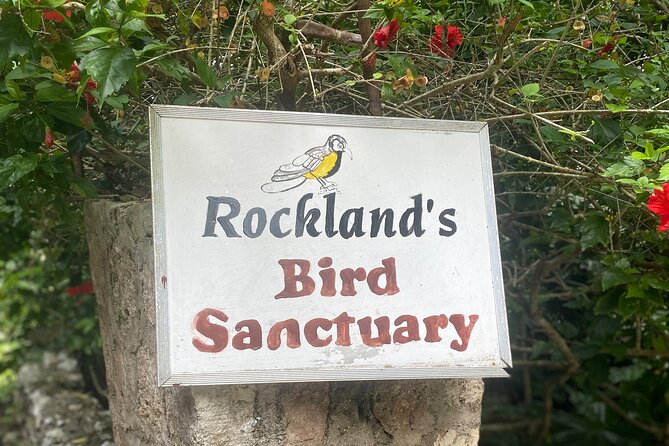 Great River Bamboo Rafting and Bird Sanctuary Combine Tour From Montego Bay - Transportation, Timing, and Why the Private Format Matters