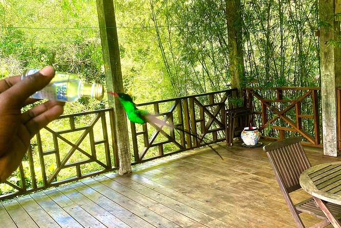 Great River Bamboo Rafting and Bird Sanctuary Combine Tour From Montego Bay - Who This Tour Is Best For (And Who Should Rethink It)