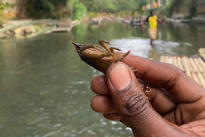 Great River Rafting - Limestone Foot Massage and ATV Rides From Montego Bay - Who this tour suits best, and who should skip it