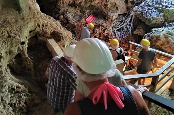 Green Grotto Caves Excursion from Ocho Rios - Wildlife in the natural environment: what to expect realistically