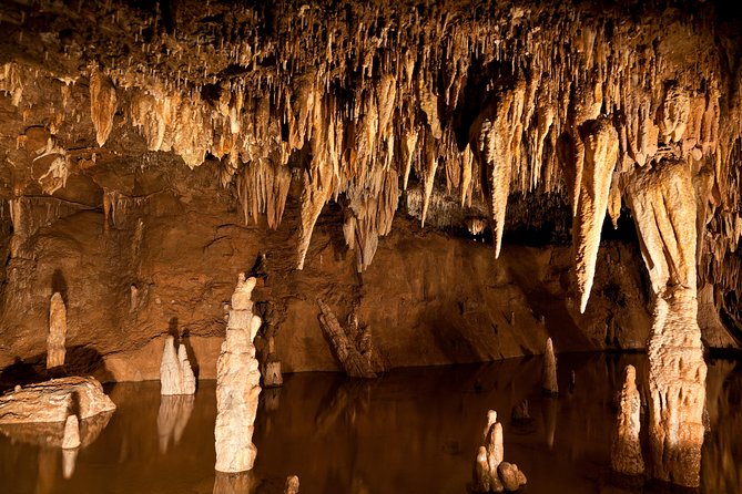 Green Grotto Caves Excursion from Ocho Rios - Getting to the caves: pickup, ride comfort, and how the day flows