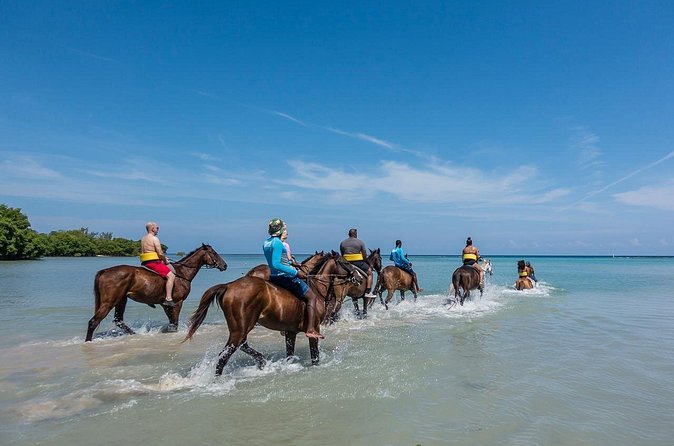 Half day Horse Back Riding and Bamboo Rafting Experience from Ocho Rios - Who This Tour Suits Best (And Who Might Want a Different Plan)