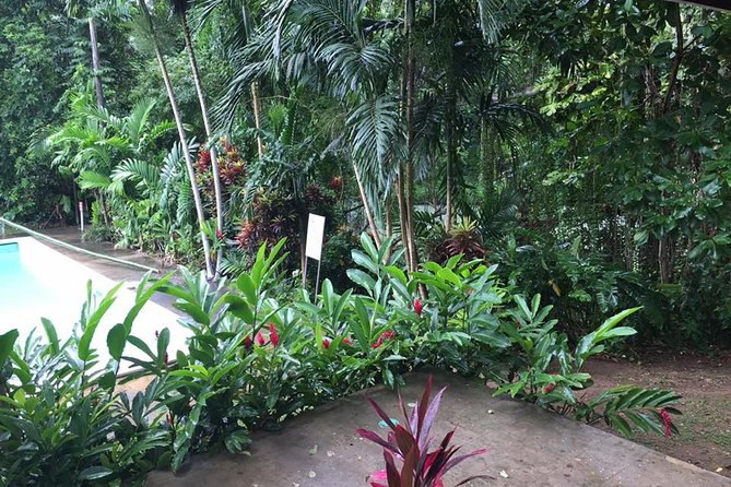 Half-Day Private Martha Brae Rafting Tour from Montego Bay - Scotchies Drax Hall: jerk food stop with a time limit