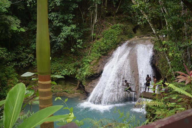 Horse Back Riding and Blue Hole From Montego Bay - Rio Bueno Stop: Neighborhood Views and Local Lookouts