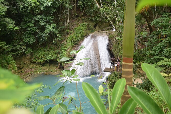 Horse Back Riding and Blue Hole From Montego Bay - Who Should Book This Tour (and Who Might Skip It)