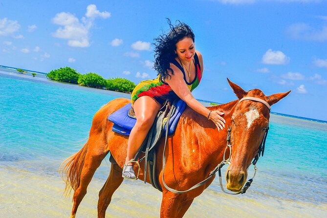 Horseback Ride and Swim Experience Montego with Transportation - The Swim With the Horses: The Moment You’ll Talk About Later