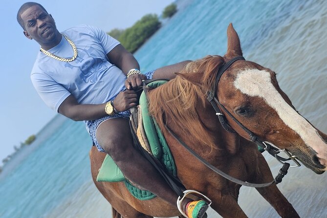 Horseback Ride and Swim Experience Montego with Transportation - Who This Tour Fits Best, and Who Might Want to Pass