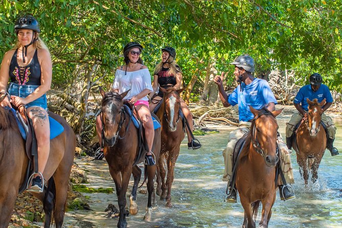 Horseback Ride and Swim from Ocho Rios - Key Highlights You Should Know
