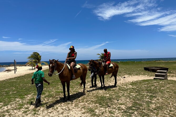 Horseback Ride and Swim Guided Tour from Montego Bay - Back to the shore: swimming bareback in the Caribbean Sea