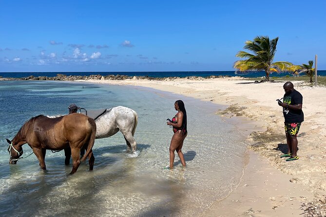 Horseback Ride and Swim Guided Tour from Montego Bay - Guides, horse welfare, and the safety that keeps it fun