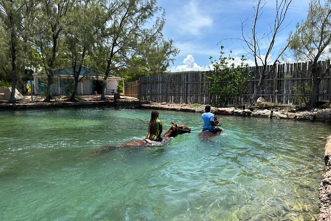 Horseback Ride and Swim Guided Tour from Montego Bay - What could go wrong, and how to prevent disappointment