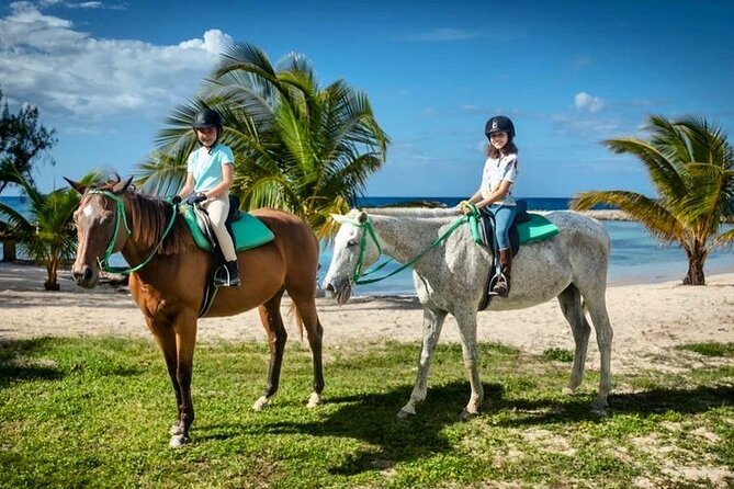 Horseback Ride and Swim Jamaica - Key Highlights You Should Expect