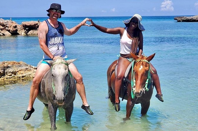 Horseback Ride and Swim Jamaica - Horses and Guides: Why Horse Welfare Changes the Experience