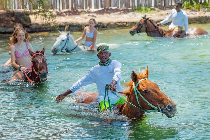 Horseback Ride and Swim Jamaica - Where the Experience Starts: Montego Bay Pickup and a One-Hour Time Window