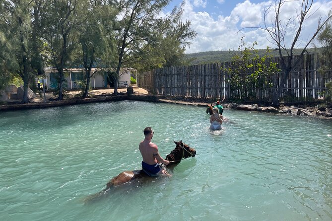 Horseback Ride and Swim Tour In Montego Bay - Swim With the Horse: Why This Moment Sticks