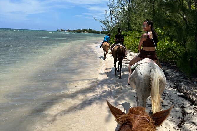 Horseback Ride and Swim Tour In Montego Bay - The Ride Through Farmlands: How the 1-Hour Experience Works