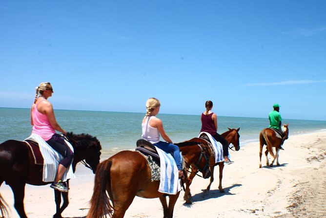 Horseback Ride ATV and Bamboo Rafting Tour Ocho Rios in Jamaica - Who should book this, and who should skip it