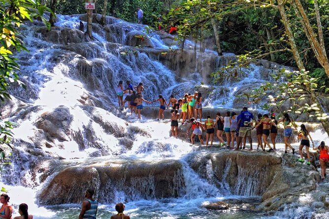 Horseback Ride , Dunns River Falls & Blue Hole From Montego Bay - A Full-Day Water and Wildlife Combo from Montego Bay