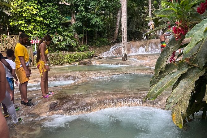 Horseback 'Ride N Swim' & Dunns River Falls from Montego Bay - Forest trails to the sea: the horseback ride and swim part