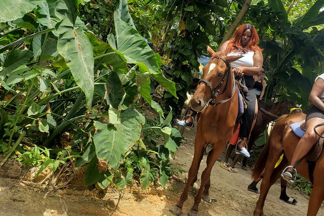 Horseback 'Ride N Swim' & Dunns River Falls from Montego Bay - Your half day flow: how the timing usually works