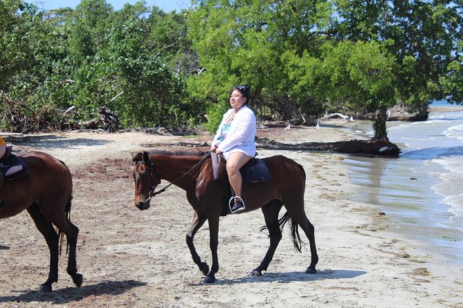 Horseback Ride & Swim Jamaica/Montego Bay - The Tropical Trail Ride: Views, Rhythm, and Practical Considerations