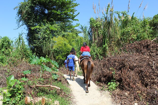 Horseback Ride & Swim Jamaica/Montego Bay - Down to the Beach and Into the Caribbean Sea