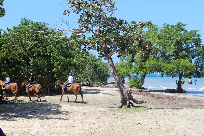 Horseback Ride & Swim Jamaica/Montego Bay - Price and Value: Is $150 for 3 Hours Worth It?