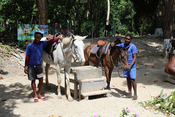 Horseback Ride & Swim Jamaica/Montego Bay - Who This Tour Fits Best, and Who Should Reconsider