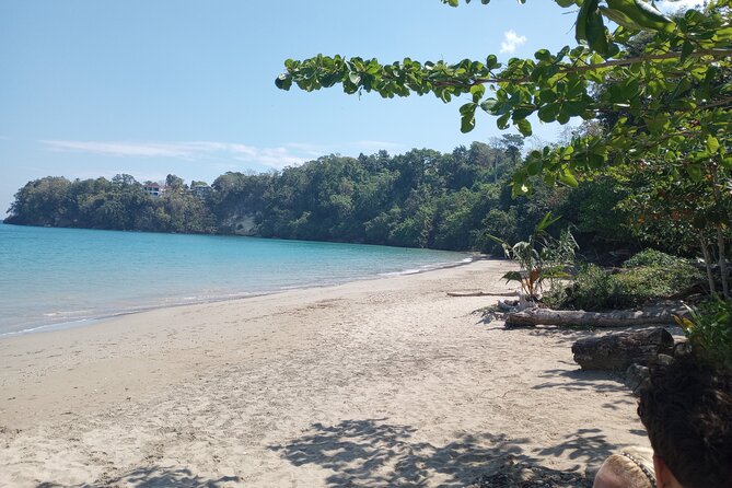 Horseback riding, Blue hole or Dunn's River Combo - Stop 2, Blue Hole: secret falls, rope swings, and cliff-jump choices