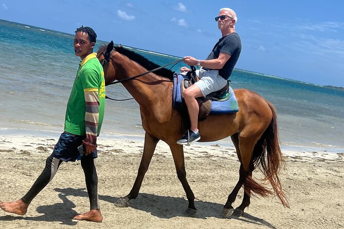 Horseback riding & bluehole secret falls from Montego Bay - Key highlights worth planning around