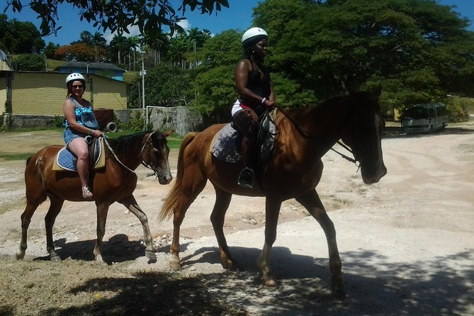Horseback Riding Dunn's River Falls Adventure from Montego Bay - Key Highlights You Should Know Before You Go