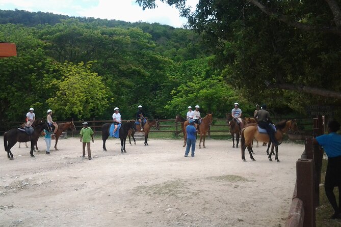 Horseback Riding Dunn's River Falls Adventure from Montego Bay - Riding Through Jamaica’s Countryside: Views, Farms, and the Pace Shift