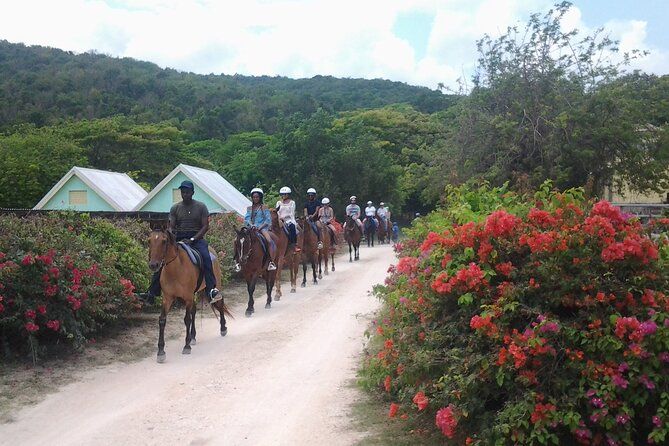 Horseback Riding Dunn's River Falls Adventure from Montego Bay - The Ocean-Time Promise: What You Might Actually Experience