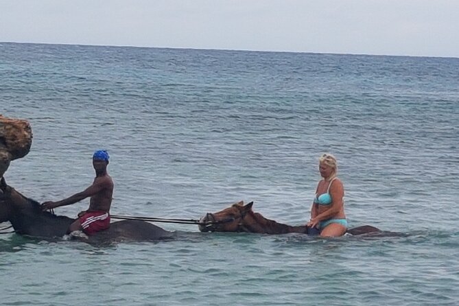 Horseback Riding Dunn's River Falls Adventure from Montego Bay - Small Group Size: Why Up to 15 Riders Feels Better Than a Bus