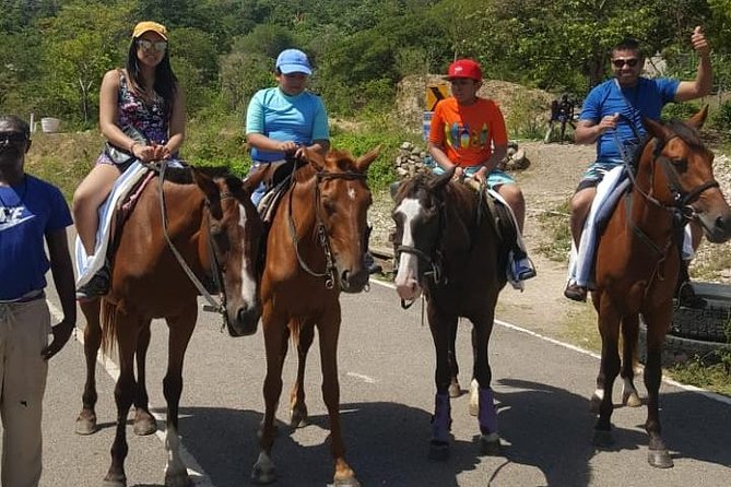 Horseback Riding from Montego Bay - Riding the Route, then Heading to the Water