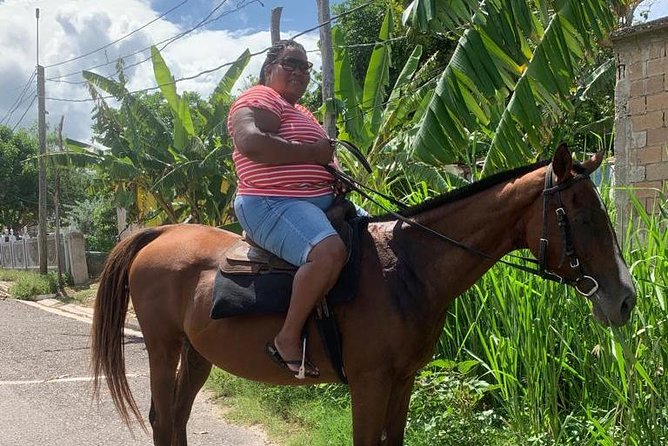 Horseback Riding from Montego Bay - Value and Price: Is $200 per Person Worth It?