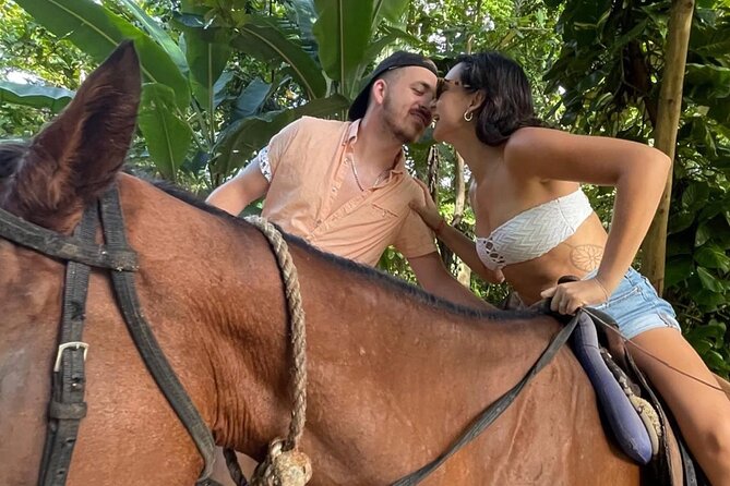 Horseback Riding In The Ocean from Montego Bay Private Transfer - Price And Value: Is $110 Worth It?