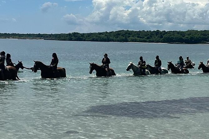 Horseback Riding in the Ocean from Ocho Rios & Runaway Bay - Ocean horseback riding, with a coastal intro