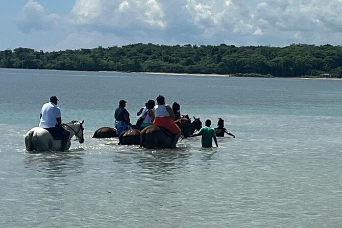 Horseback Riding in the Ocean from Ocho Rios & Runaway Bay - The ride out of Ocho Rios and Runaway Bay, and why it matters