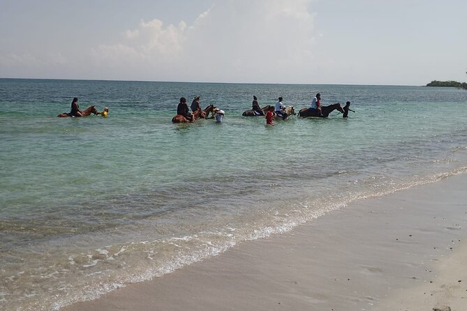 Horseback Riding plus Dunns River Falls Combo Private Tour - The horseback riding at St. Ann’s Bay: fun, options, and a local stable stop