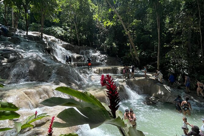 Horseback Riding/Swimming and Dunn's River from Ocho Rios - Timing Tips for a Smooth Day