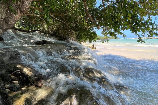 Horseback Riding/Swimming and Dunn's River from Ocho Rios - Who This Tour Is Best For