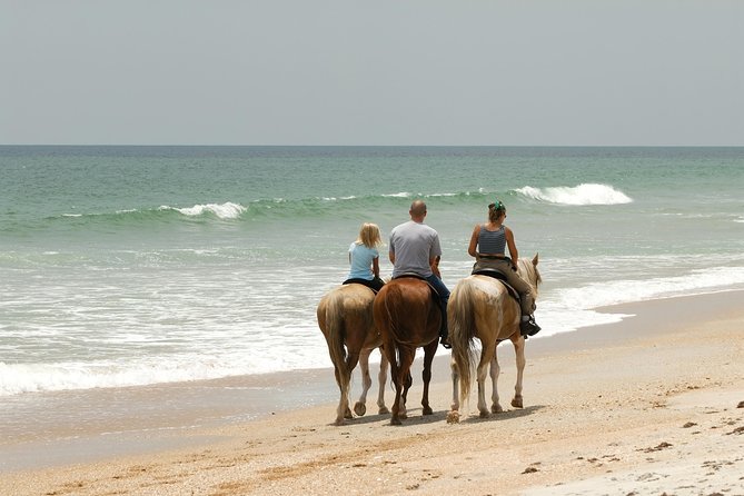Horseback “SPECIAL”- Negril’s Beach Ride N’ Swim with Free photos/videos - From Flora Trail to Red Mangrove Tunnel: Why This Part Feels Special