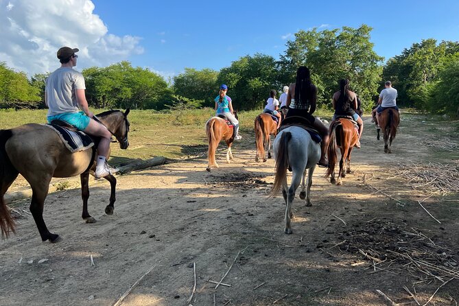 Horseback “SPECIAL”- Negril’s Beach Ride N’ Swim with Free photos/videos - Free Photos and Videos: The Value You Actually Notice Later