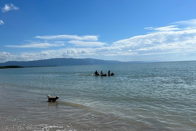 Horseback “SPECIAL”- Negril’s Beach Ride N’ Swim with Free photos/videos - Pickup, Timing, and Staying Calm When Plans Get Sticky