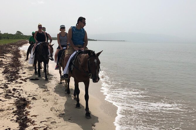 Horseback “SPECIAL”- Negril’s Beach Ride N’ Swim with Free photos/videos - Who Should Book This Negril Horse Ride N Swim