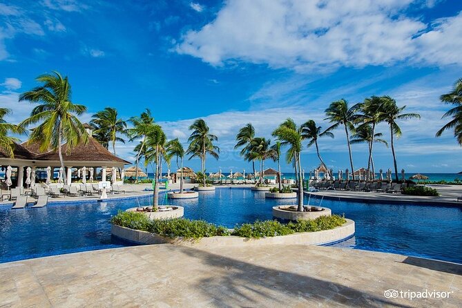 Hyatt Zilara Rose Hall Resort Private Airport Transfer - Who Should Book This Transfer (And Who Might Skip It)