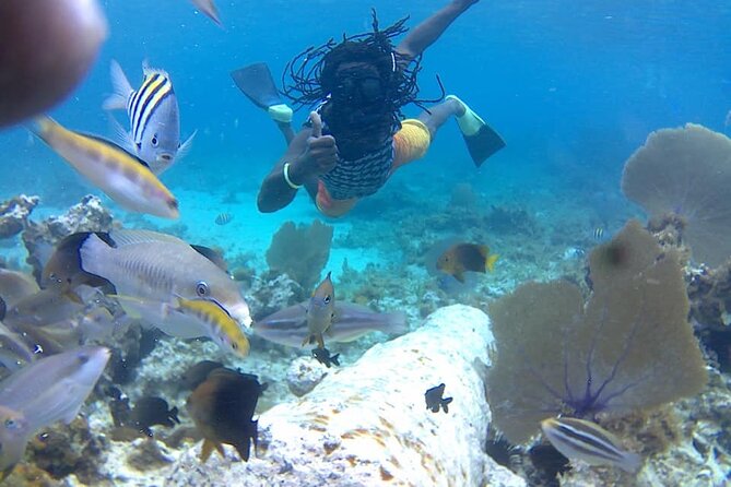 Incredible Negril Guided Snorkeling To Reef, Anchor, and Cannon - Key highlights you will care about